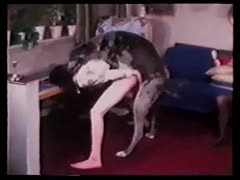 Gorgeous with brown hair After work, a married slut likes to have her dog screw her.